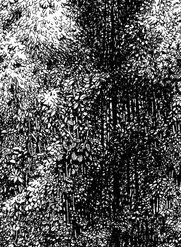 Haut-Bois sérigraphie Eric Mahé 