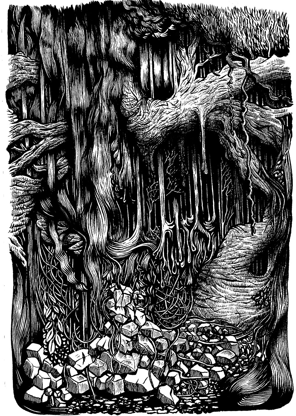 Nature Fantaisie 2 - Dessin © Éric Mahé 